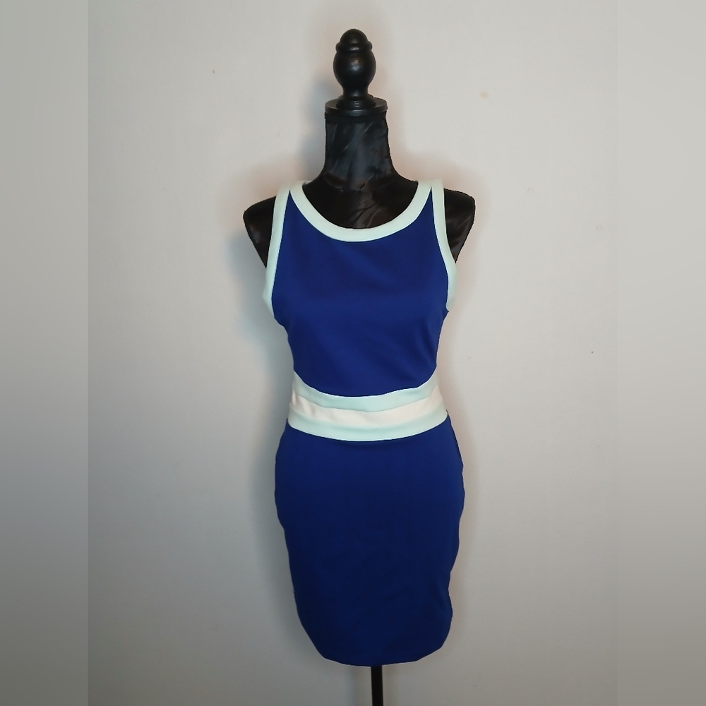Forever 21 Blue and White Sleeveless Sheath Dress